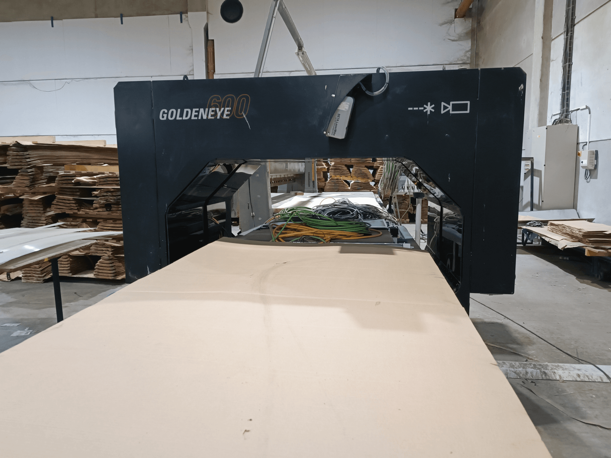 Microtec GOLDENEYE GLD 600 DSC wood processing machine front view, with large cutting surface and equipment in a workshop setting.